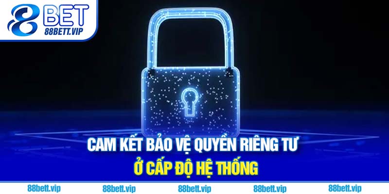 Cam kết bảo vệ quyền riêng tư ở cấp độ hệ thống